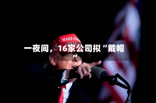 一夜间，16家公司拟“戴帽”-第3张图片