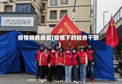 疫情税务感受(疫情下的税务干部)-第2张图片