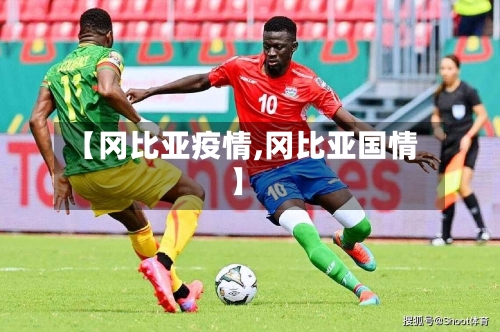 【冈比亚疫情,冈比亚国情】