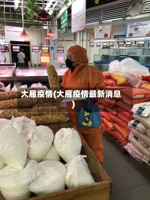 大雁疫情(大雁疫情最新消息)