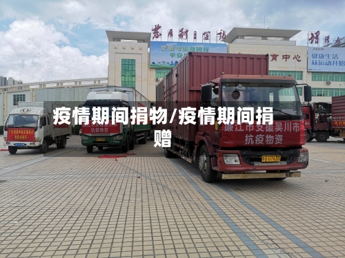 疫情期间捐物/疫情期间捐赠