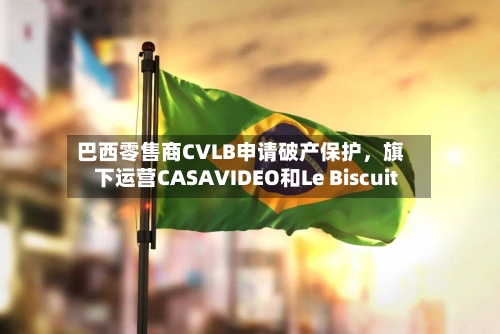 巴西零售商CVLB申请破产保护，旗下运营CASAVIDEO和Le Biscuit-第2张图片