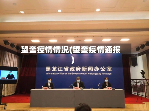 望奎疫情情况(望奎疫情通报)
