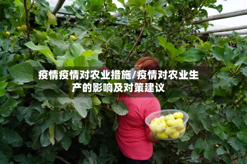 疫情疫情对农业措施/疫情对农业生产的影响及对策建议-第2张图片
