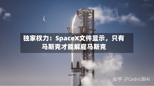 独家权力：SpaceX文件显示，只有马斯克才能解雇马斯克-第2张图片