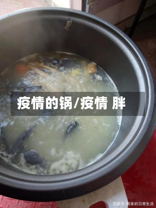 疫情的锅/疫情 胖-第2张图片