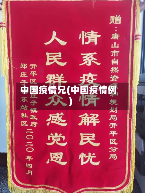 中国疫情兄(中国疫情例)