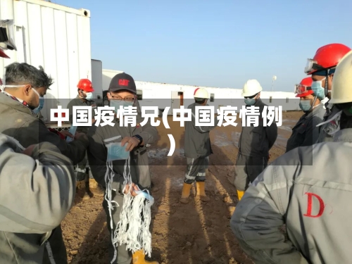 中国疫情兄(中国疫情例)-第2张图片