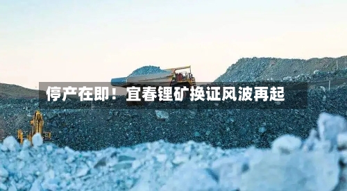 停产在即！宜春锂矿换证风波再起-第2张图片