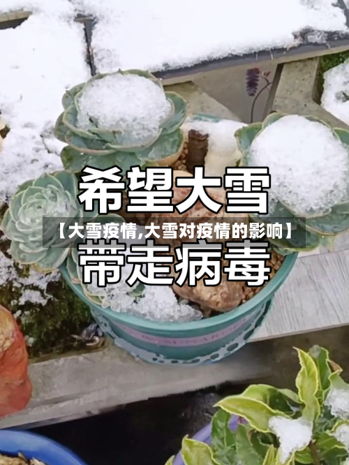【大雪疫情,大雪对疫情的影响】