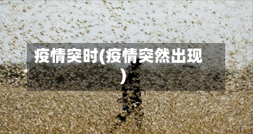 疫情突时(疫情突然出现)