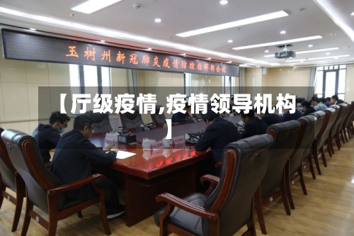【厅级疫情,疫情领导机构】-第2张图片
