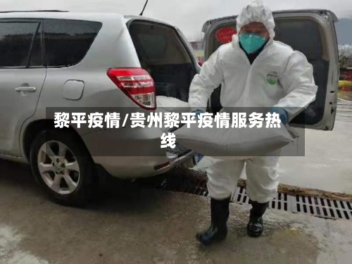 黎平疫情/贵州黎平疫情服务热线-第3张图片