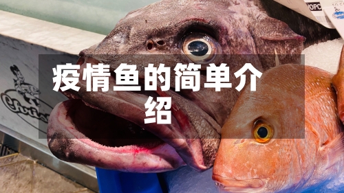 疫情鱼的简单介绍-第3张图片