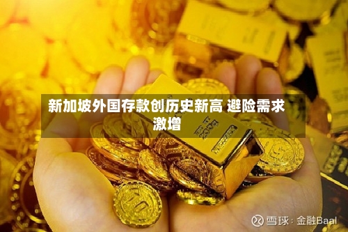 新加坡外国存款创历史新高 避险需求激增