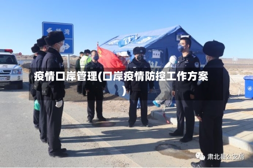 疫情口岸管理(口岸疫情防控工作方案)