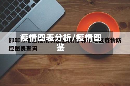 疫情图表分析/疫情图鉴