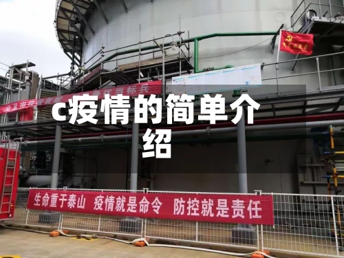 c疫情的简单介绍