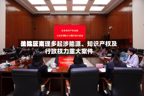 美比较高法院正审理多起涉能源	、知识产权及行政权力重大案件-第3张图片