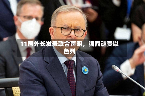11国外长发表联合声明，强烈谴责以色列