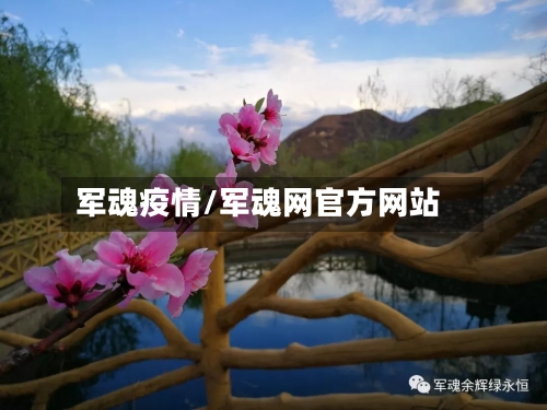 军魂疫情/军魂网官方网站