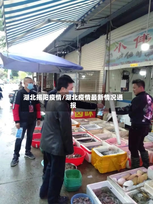 湖北揭阳疫情/湖北疫情最新情况通报