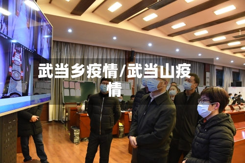 武当乡疫情/武当山疫情