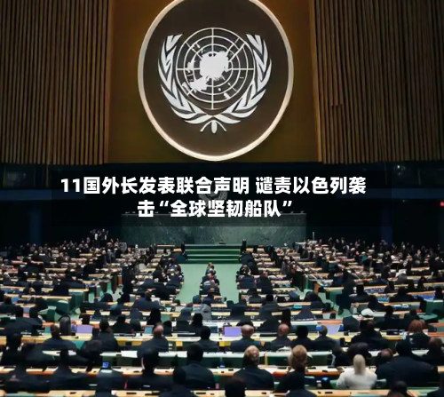 11国外长发表联合声明 谴责以色列袭击“全球坚韧船队”
