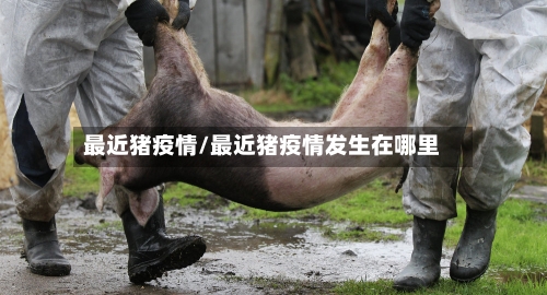 最近猪疫情/最近猪疫情发生在哪里