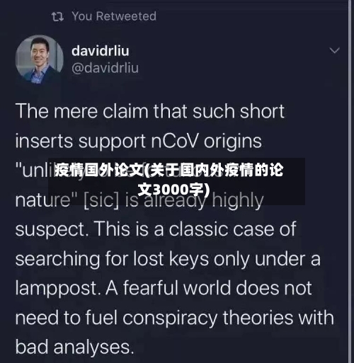 疫情国外论文(关于国内外疫情的论文3000字)