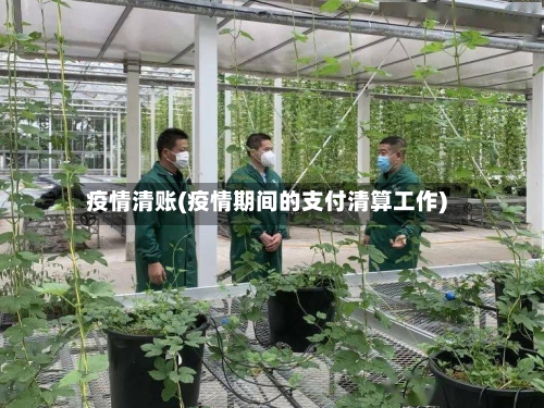 疫情清账(疫情期间的支付清算工作)