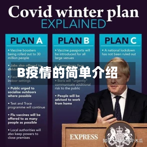 B疫情的简单介绍