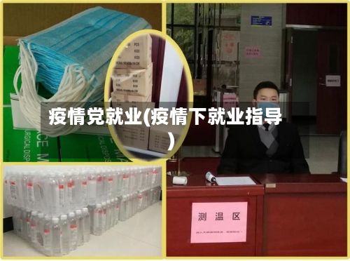 疫情党就业(疫情下就业指导)