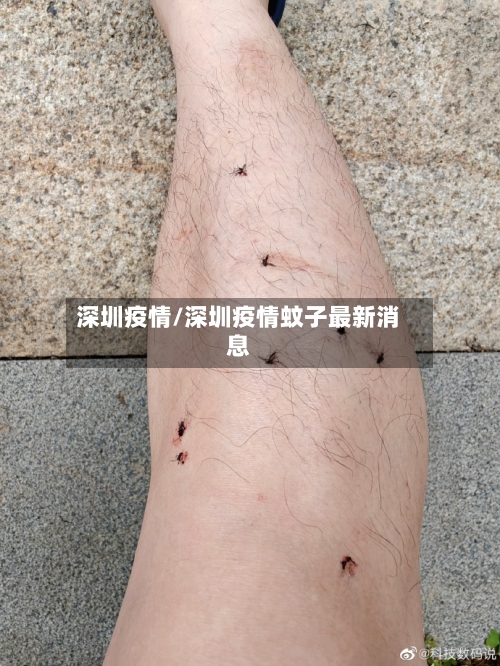 深圳疫情/深圳疫情蚊子最新消息