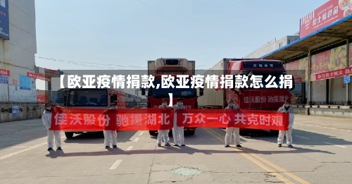 【欧亚疫情捐款,欧亚疫情捐款怎么捐】