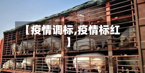 【疫情调标,疫情标红】-第2张图片