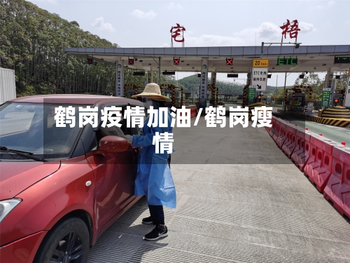 鹤岗疫情加油/鹤岗瘦情-第2张图片