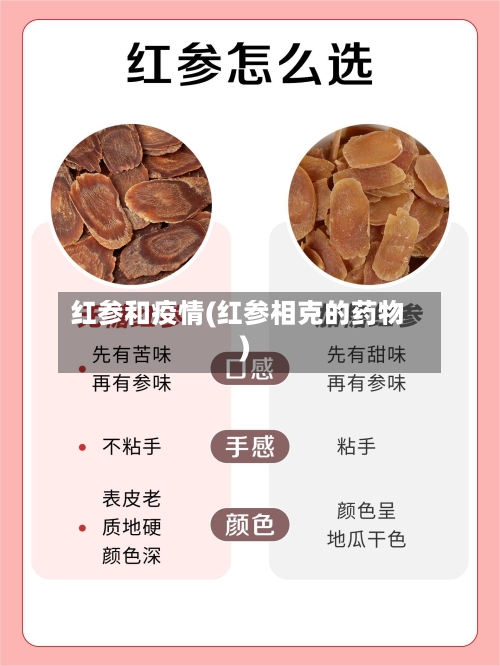 红参和疫情(红参相克的药物)-第3张图片