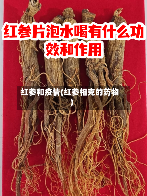 红参和疫情(红参相克的药物)