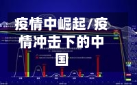 疫情中崛起/疫情冲击下的中国