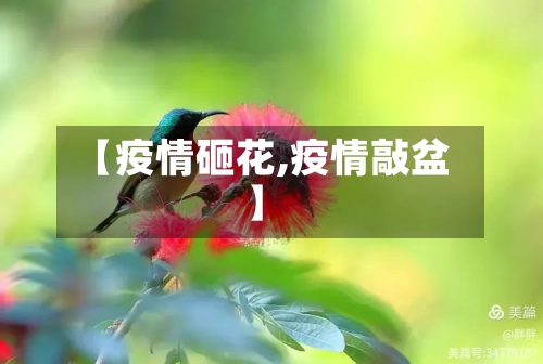 【疫情砸花,疫情敲盆】-第3张图片