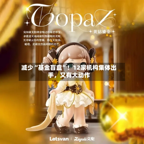 减少“基金盲盒	”！12家机构集体出手，又有大动作-第2张图片