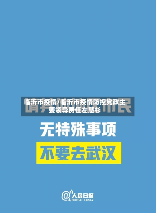 临沂市疫情/临沂市疫情防控党政主要领导责任左慧杉-第3张图片