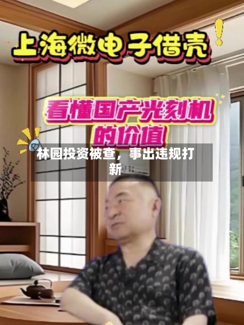 林园投资被查	，事出违规打新-第2张图片