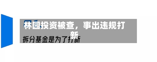 林园投资被查，事出违规打新-第3张图片