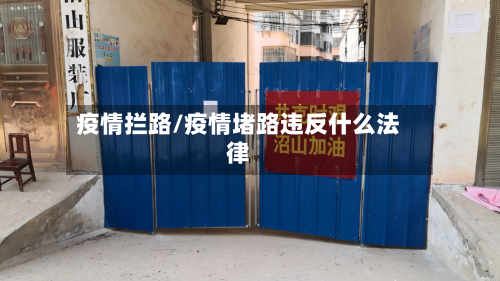 疫情拦路/疫情堵路违反什么法律