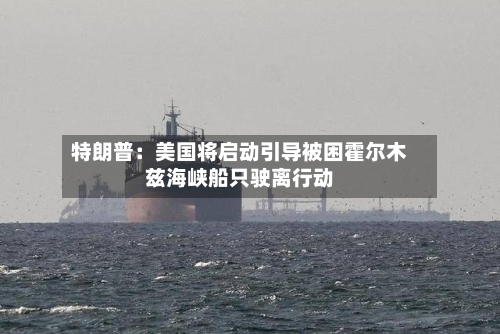 特朗普：美国将启动引导被困霍尔木兹海峡船只驶离行动