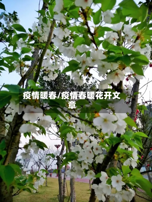 疫情暖春/疫情春暖花开文章
