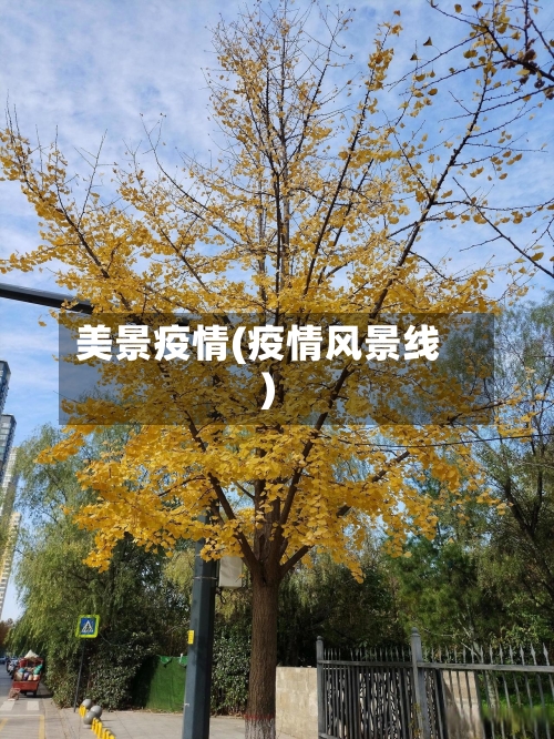美景疫情(疫情风景线)