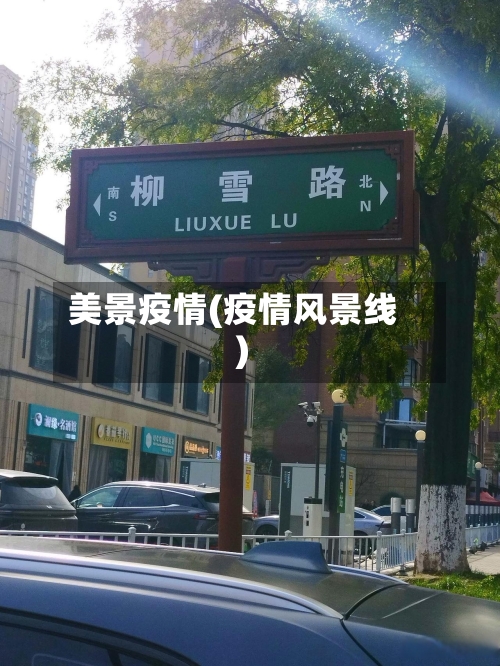 美景疫情(疫情风景线)-第2张图片
